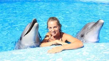 Side Swim With Dolphins