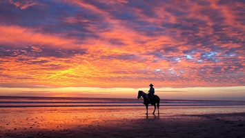 Belek Horse Riding at Sunset