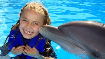 Turunc Meet With Dolphins