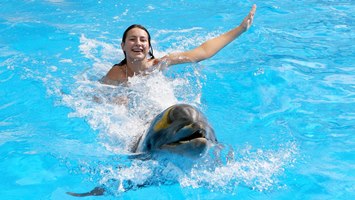 Icmeler Swim With Dolphins