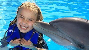 Icmeler Meet With Dolphins