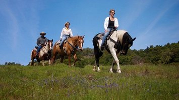 Icmeler Horse Safari