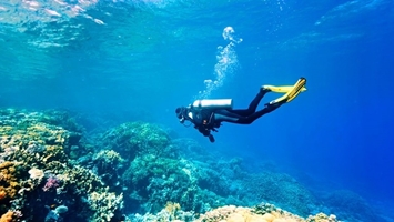 Kusadasi Diving Tour