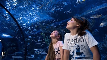 Side Antalya Aquarium Tour