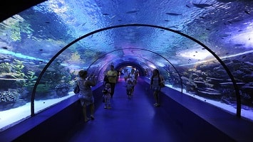 Kemer Antalya Aquarium