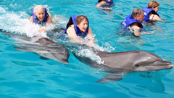 Kemer Swimming with Dolphins