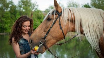 Didim Horse Safari