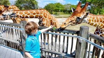 izmir biking and zoo tour