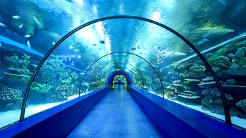 Antalya Aquarium From Belek