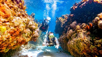 Scuba Diving İn Belek