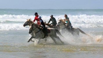 Horseback riding on the beach in Belek Antalya