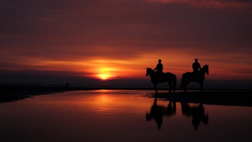 Belek Horse Riding at Sunrise